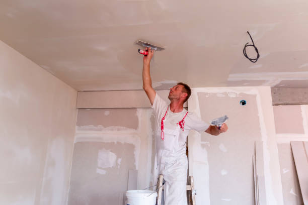 Reliable Yardville, NJ Dry wall and painting Solutions